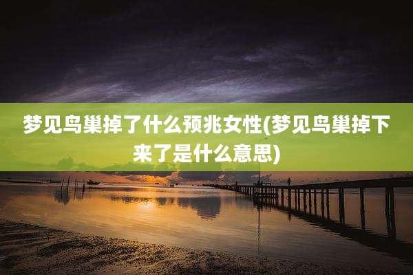 梦见鸟巢掉了什么预兆女性(梦见鸟巢掉下来了是什么意思)