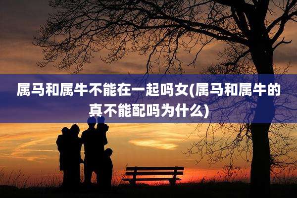属马和属牛不能在一起吗女(属马和属牛的真不能配吗为什么)