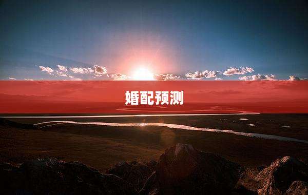 婚配预测