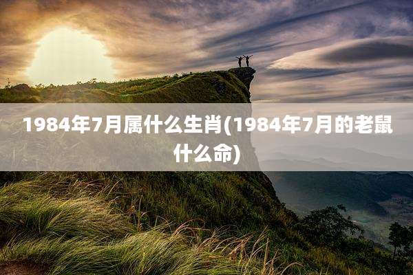 1984年7月属什么生肖(1984年7月的老鼠什么命)