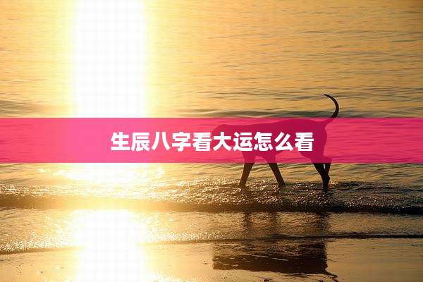生辰八字看大运怎么看