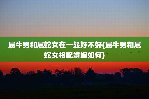 属牛男和属蛇女在一起好不好(属牛男和属蛇女相配婚姻如何)