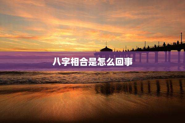 八字相合是怎么回事