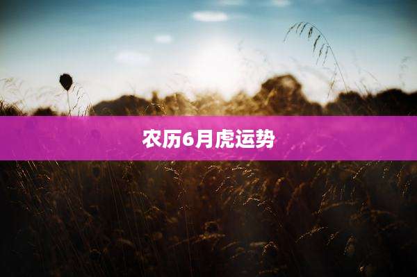 农历6月虎运势
