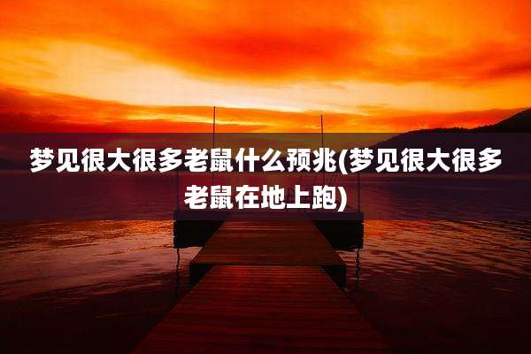 梦见很大很多老鼠什么预兆(梦见很大很多老鼠在地上跑)