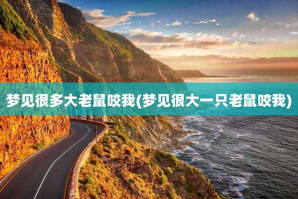 梦见很多大老鼠咬我(梦见很大一只老鼠咬我)
