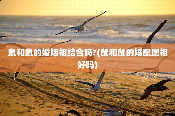 鼠和鼠的婚姻相结合吗?(鼠和鼠的婚配属相好吗)