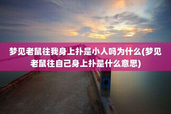 梦见老鼠往我身上扑是小人吗为什么(梦见老鼠往自己身上扑是什么意思)