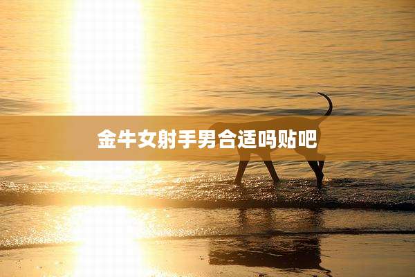 金牛女射手男合适吗贴吧