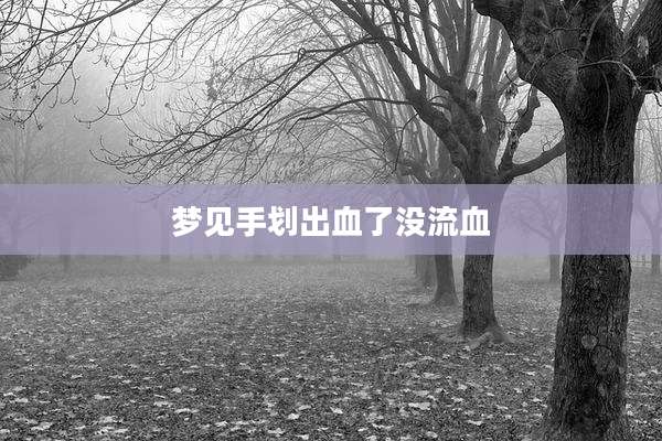 梦见手划出血了没流血