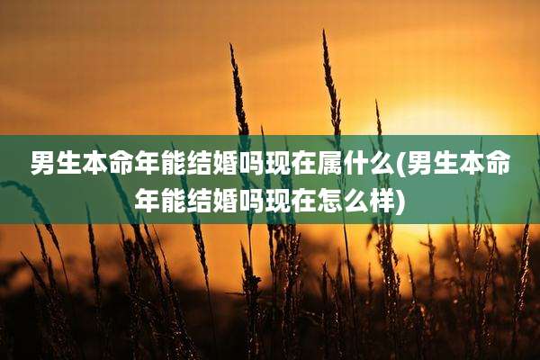 男生本命年能结婚吗现在属什么(男生本命年能结婚吗现在怎么样)