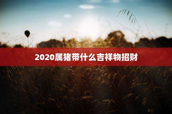 2020属猪带什么吉祥物招财