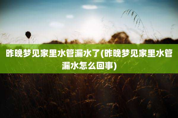 昨晚梦见家里水管漏水了(昨晚梦见家里水管漏水怎么回事)