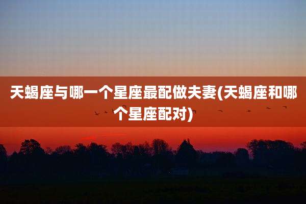 天蝎座与哪一个星座最配做夫妻(天蝎座和哪个星座配对)