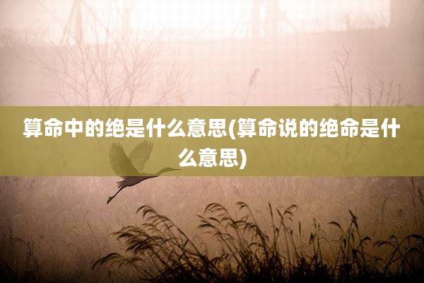 算命中的绝是什么意思(算命说的绝命是什么意思)