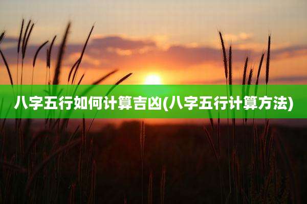 八字五行如何计算吉凶(八字五行计算方法)