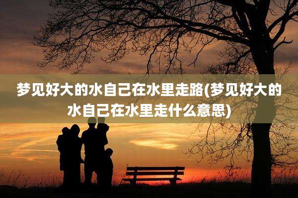 梦见好大的水自己在水里走路(梦见好大的水自己在水里走什么意思)