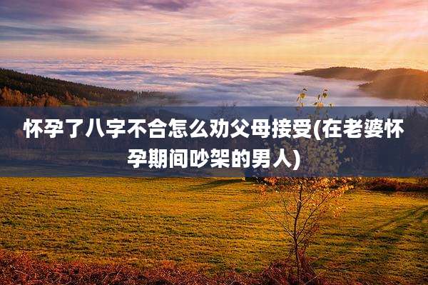 怀孕了八字不合怎么劝父母接受(在老婆怀孕期间吵架的男人)