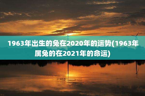 1963年出生的兔在2020年的运势(1963年属兔的在2021年的命运)