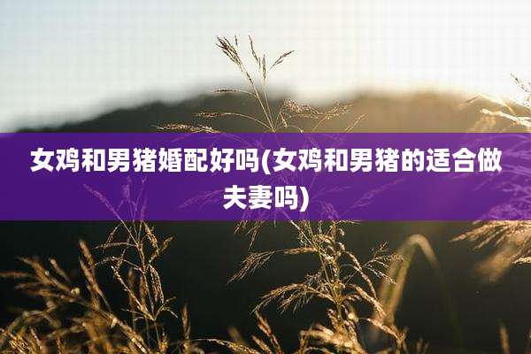女鸡和男猪婚配好吗(女鸡和男猪的适合做夫妻吗)