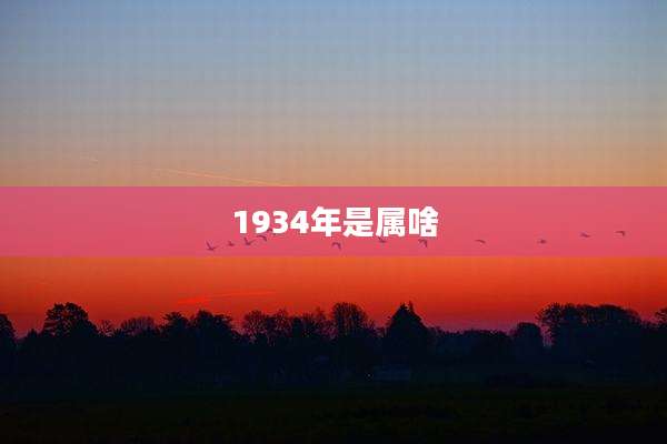1934年是属啥