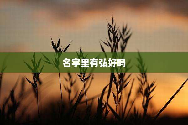 名字里有弘好吗