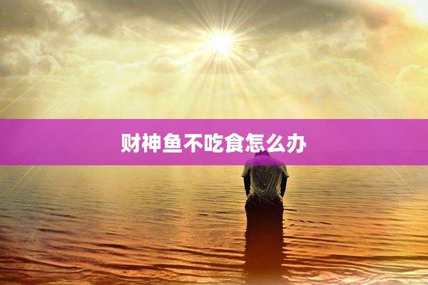 财神鱼不吃食怎么办