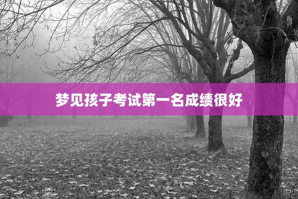梦见孩子考试第一名成绩很好