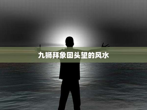 九狮拜象回头望的风水