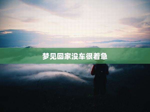 梦见回家没车很着急