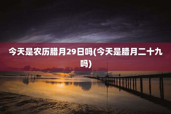 今天是农历腊月29日吗(今天是腊月二十九吗)
