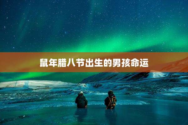 鼠年腊八节出生的男孩命运