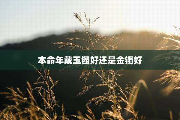 本命年戴玉镯好还是金镯好