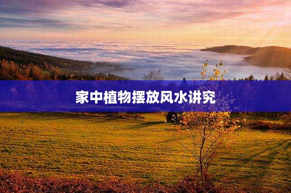 家中植物摆放风水讲究