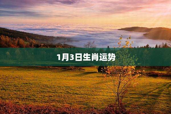 1月3日生肖运势
