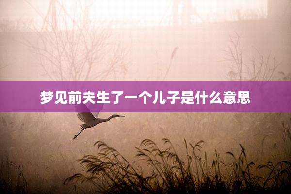 梦见前夫生了一个儿子是什么意思