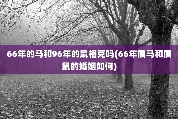66年的马和96年的鼠相克吗(66年属马和属鼠的婚姻如何)