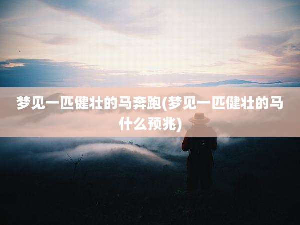 梦见一匹健壮的马奔跑(梦见一匹健壮的马什么预兆)