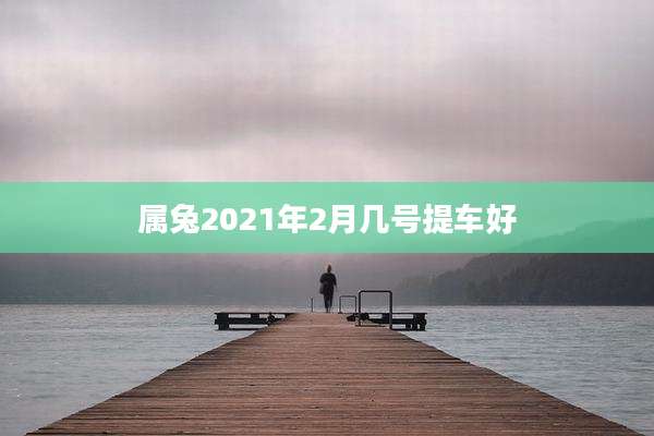 属兔2021年2月几号提车好