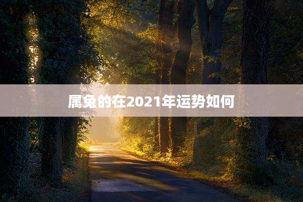 属兔的在2021年运势如何