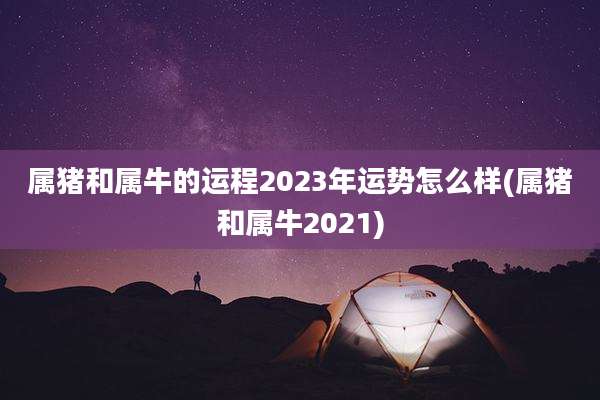 属猪和属牛的运程2023年运势怎么样(属猪和属牛2021)