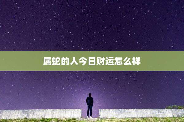 属蛇的人今日财运怎么样