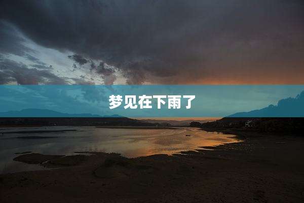 梦见在下雨了