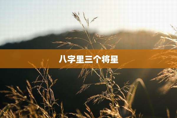 八字里三个将星