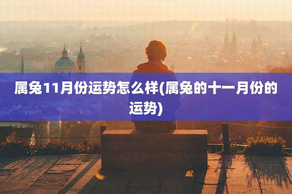 属兔11月份运势怎么样(属兔的十一月份的运势)