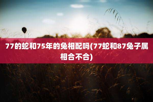77的蛇和75年的兔相配吗(77蛇和87兔子属相合不合)