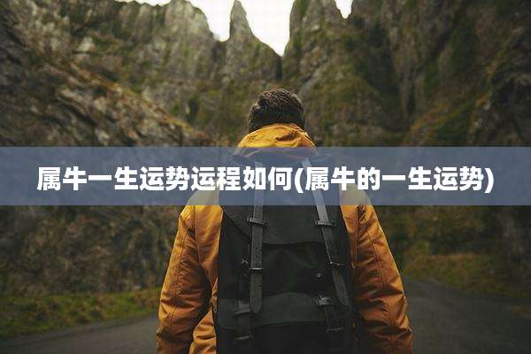 属牛一生运势运程如何(属牛的一生运势)