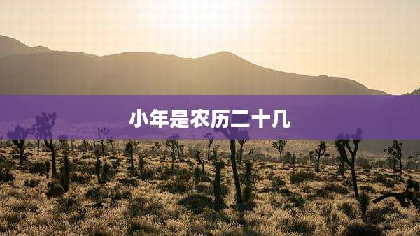 小年是农历二十几