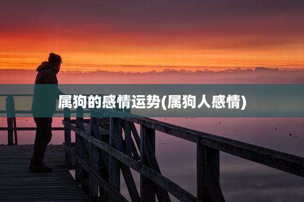 属狗的感情运势(属狗人感情)