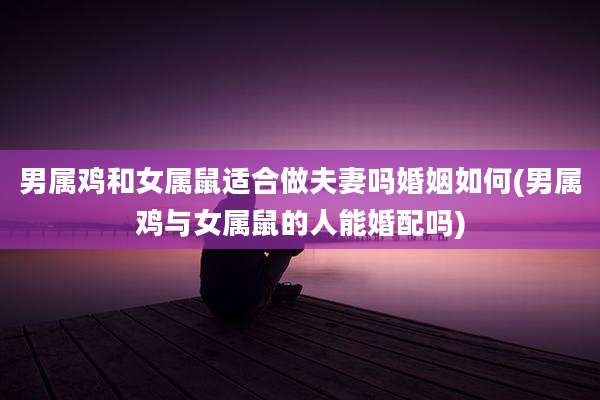 男属鸡和女属鼠适合做夫妻吗婚姻如何(男属鸡与女属鼠的人能婚配吗)